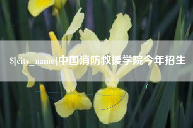 东阳中国消防救援学院今年招生