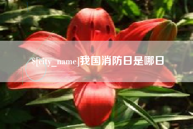东阳我国消防日是哪日