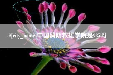 东阳中国消防救援学院是985吗