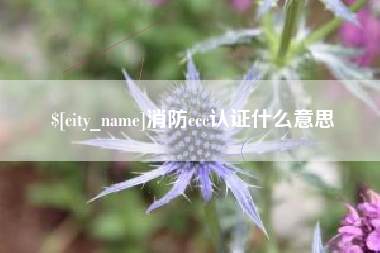 东阳消防ccc认证什么意思