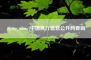 东阳中国执行信息公开网查询