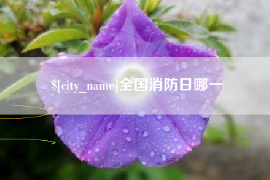 东阳全国消防日哪一