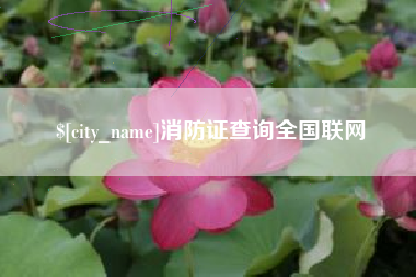 东阳消防证查询全国联网