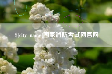 东阳国家消防考试网官网