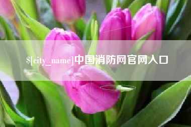 东阳中国消防网官网入口