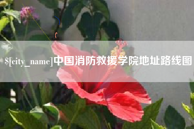 东阳中国消防救援学院地址路线图