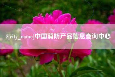 东阳中国消防产品信息查询中心