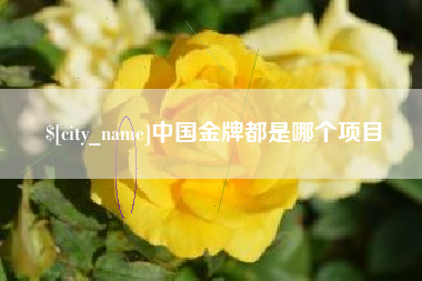 东阳中国金牌都是哪个项目