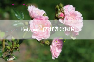 东阳古代九宫图片