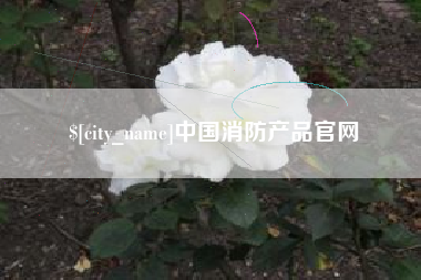 东阳中国消防产品官网