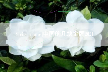东阳中国的几块金牌2021