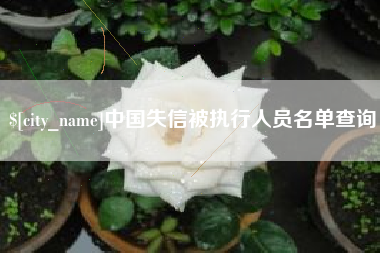 东阳中国失信被执行人员名单查询