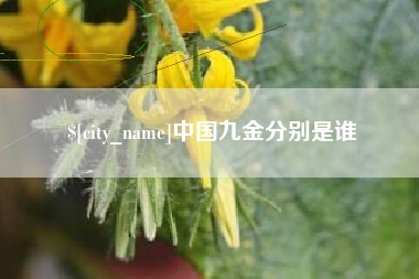 东阳中国九金分别是谁