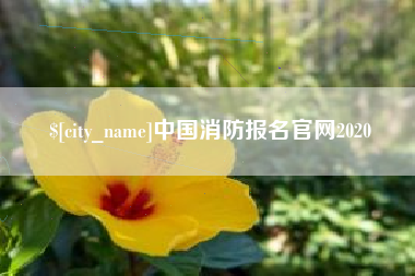 东阳中国消防报名官网2020