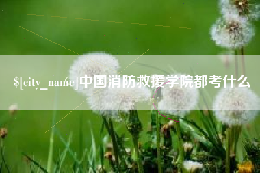 东阳中国消防救援学院都考什么