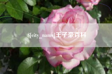 东阳王子豪百科