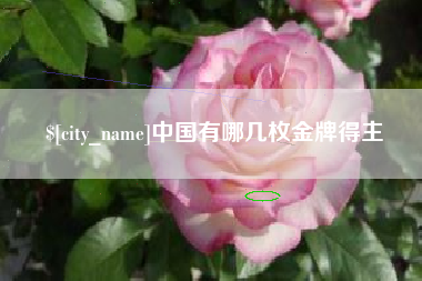 东阳中国有哪几枚金牌得主