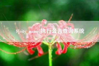 东阳执行公告查询系统
