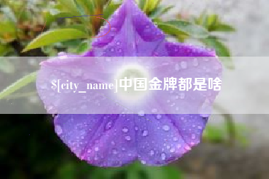 东阳中国金牌都是啥