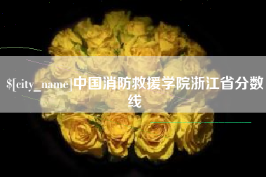东阳中国消防救援学院浙江省分数线
