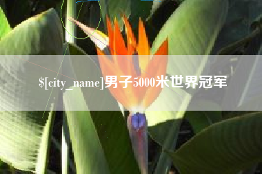东阳男子5000米世界冠军
