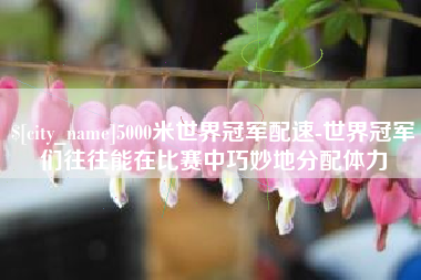 东阳5000米世界冠军配速-世界冠军们往往能在比赛中巧妙地分配体力