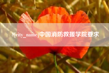 东阳中国消防救援学院要求