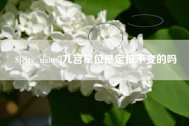 东阳九宫星位是定位不变的吗