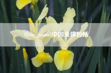 东阳中国金牌包括