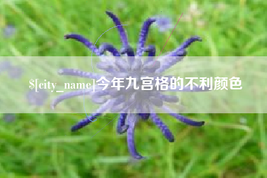 东阳今年九宫格的不利颜色