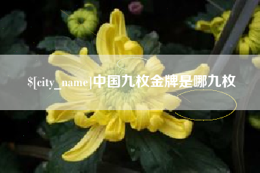 东阳中国九枚金牌是哪九枚