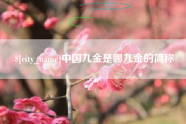 东阳中国九金是哪九金的简称