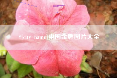 东阳中国金牌图片大全