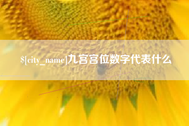 东阳九宫宫位数字代表什么