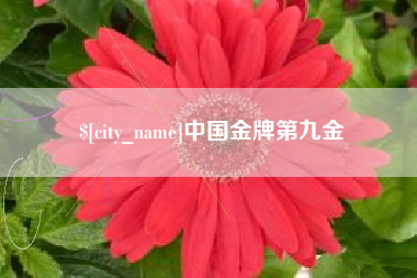 东阳中国金牌第九金