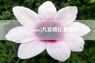 东阳九宫格比赛规则