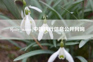东阳中国执行信息公开网询