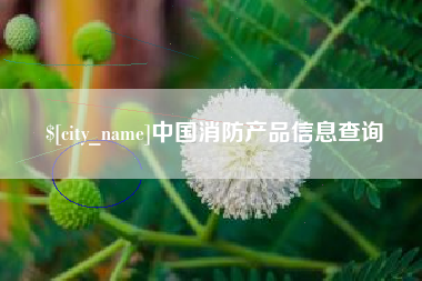 东阳中国消防产品信息查询