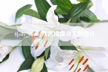 东阳九宫格盘点工具图片