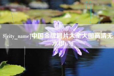 东阳中国金牌图片大全大图高清无水印
