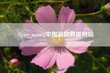 东阳中国消防救援网站
