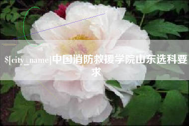 东阳中国消防救援学院山东选科要求