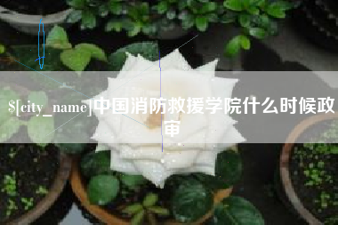 东阳中国消防救援学院什么时候政审