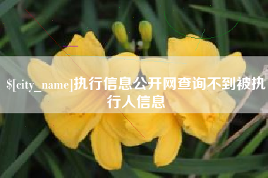 东阳执行信息公开网查询不到被执行人信息