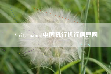 东阳中国执行执行信息网