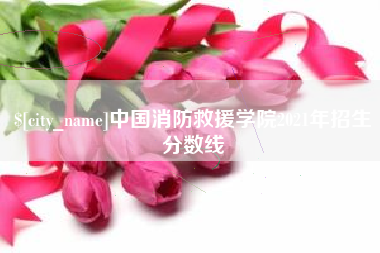 东阳中国消防救援学院2021年招生分数线