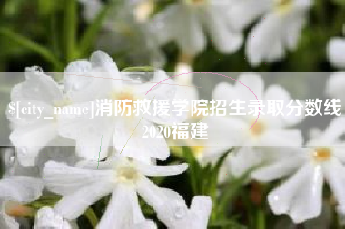 东阳消防救援学院招生录取分数线2020福建