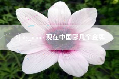 东阳现在中国哪几个金牌