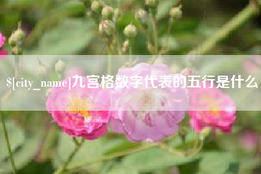 东阳九宫格数字代表的五行是什么