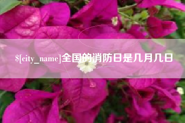 东阳全国的消防日是几月几日
